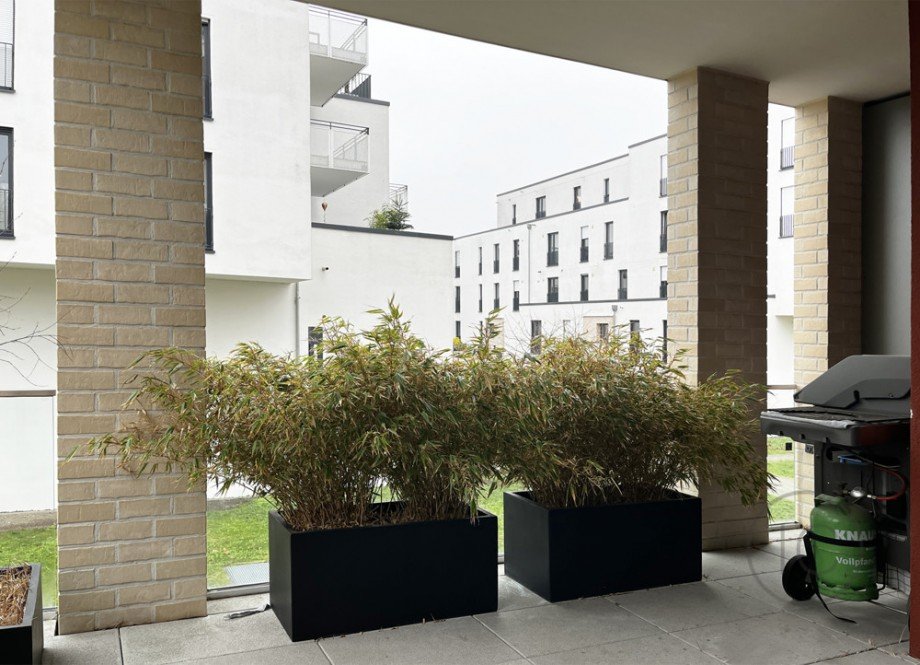 Balkon Etagenwohnung K�ln