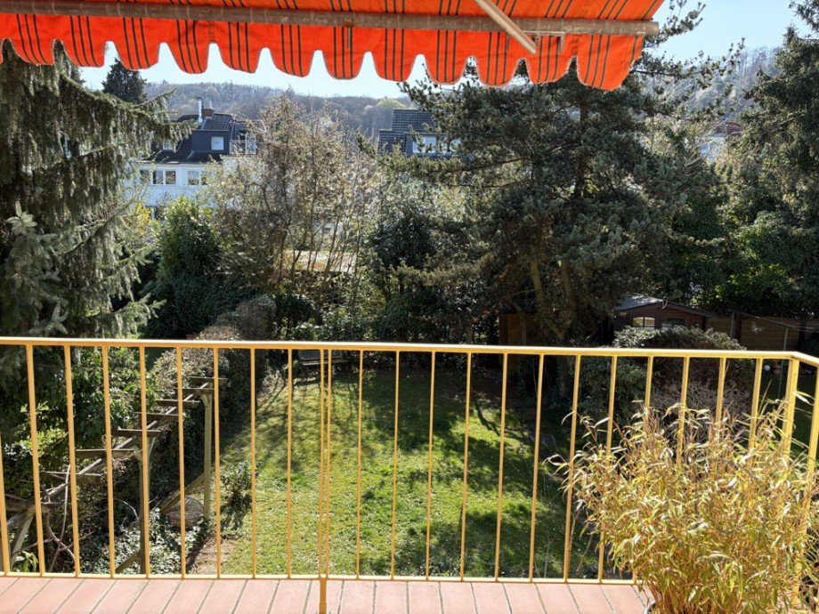 Blick in den Garten+ Mehrfamilienhaus Bonn / Dottendorf