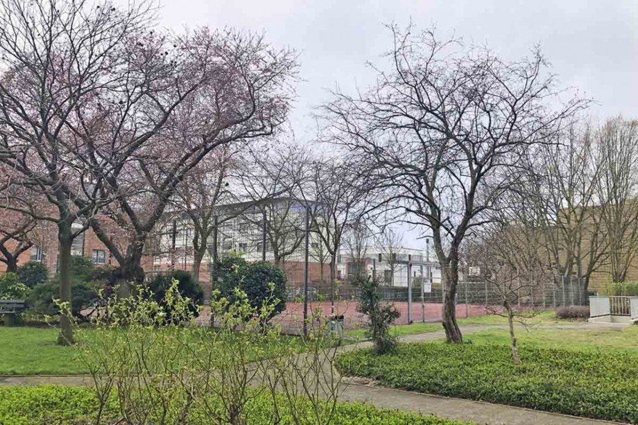 Eigener Sportplatz Penthousewohnung K�ln/Weiden
